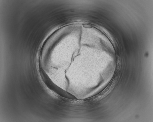 X0000116640859201001111207