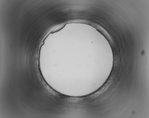 X0000116640860201001111207