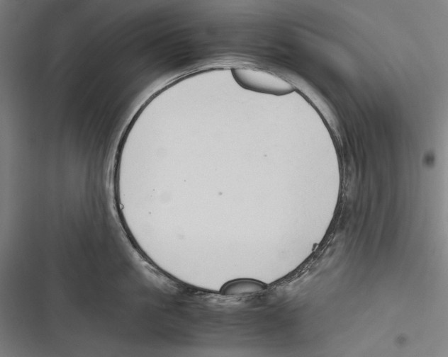 X0000116640861201001111207