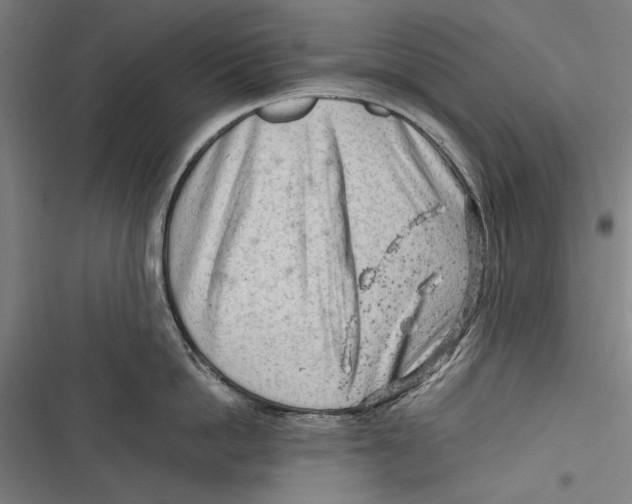 X0000116640862201001111207