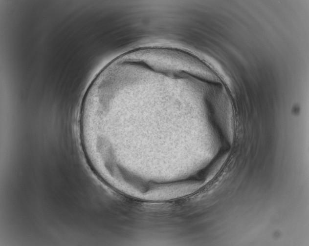 X0000116640863201001111207