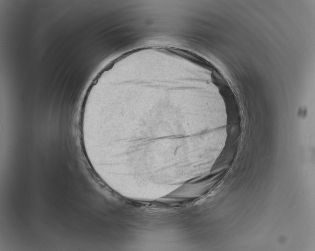 X0000116640864201001111207