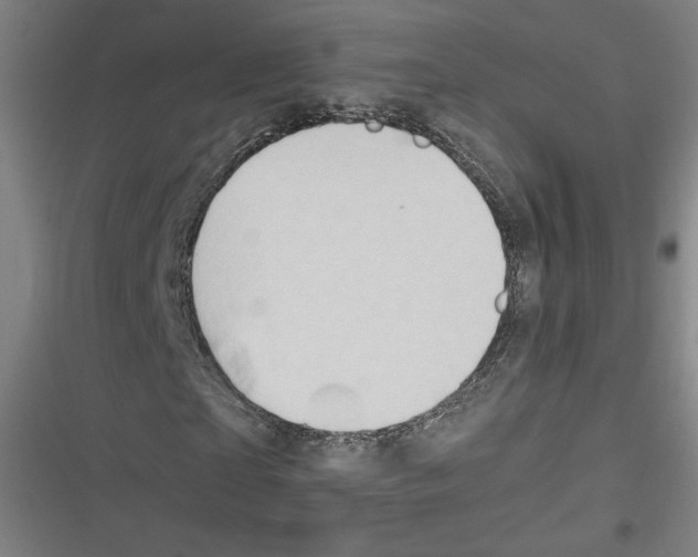 X0000116640865201001111206