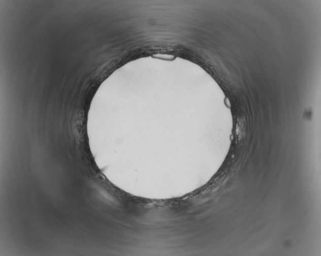 X0000116640867201001111206