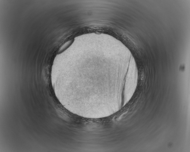 X0000116640868201001111206