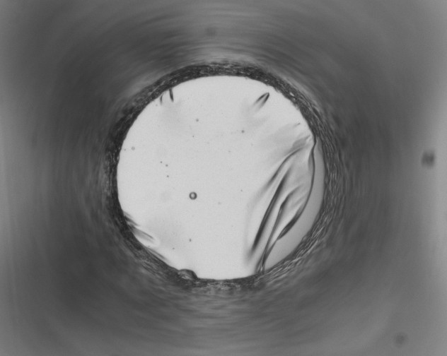 X0000116640869201001111206