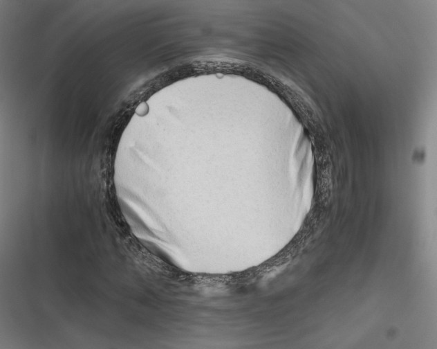 X0000116640870201001111206