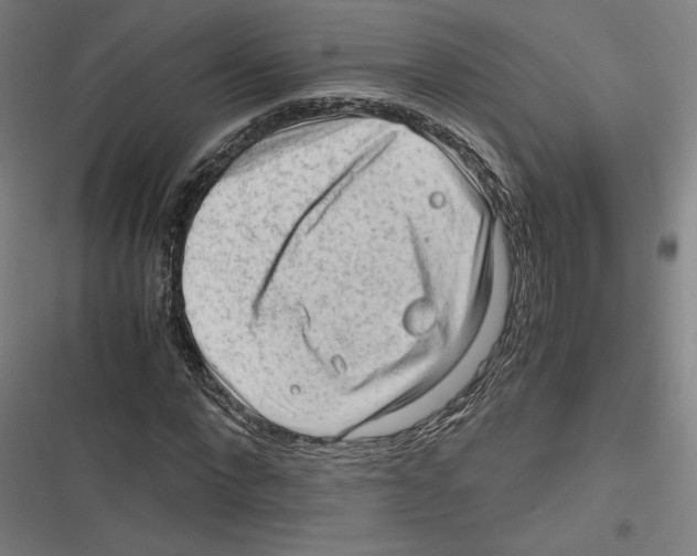 X0000116640872201001111206