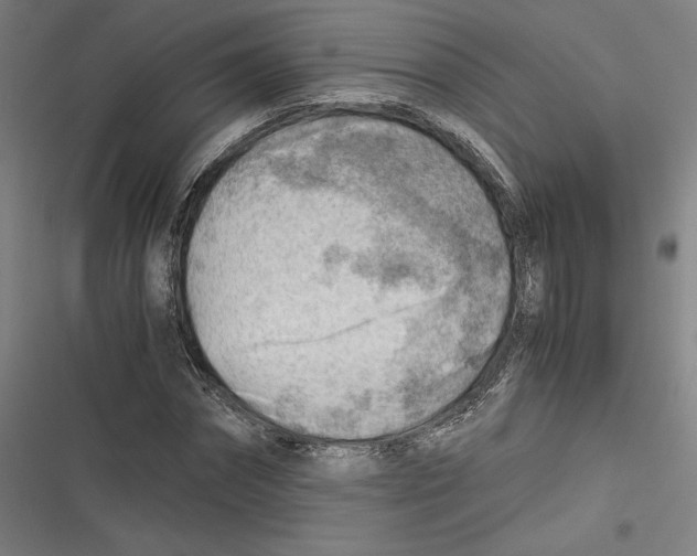 X0000116640874201001111206