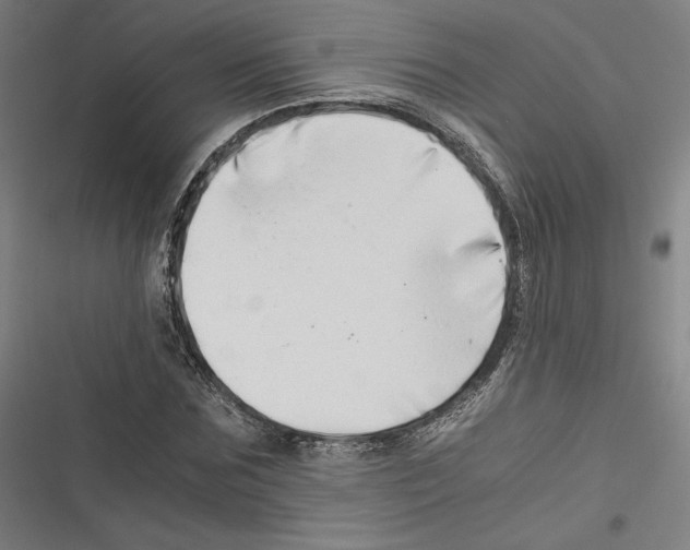 X0000116640875201001111206