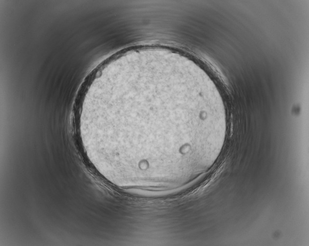 X0000116640876201001111206