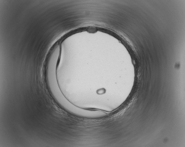 X0000116640877201001111206