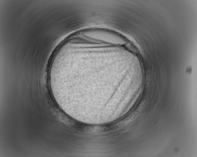 X0000116640879201001111206