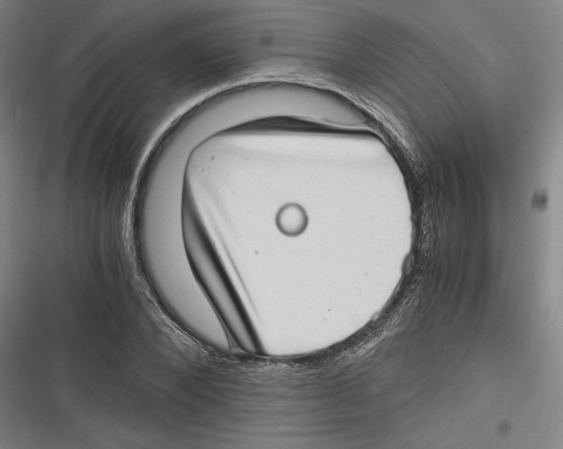 X0000116640880201001111206