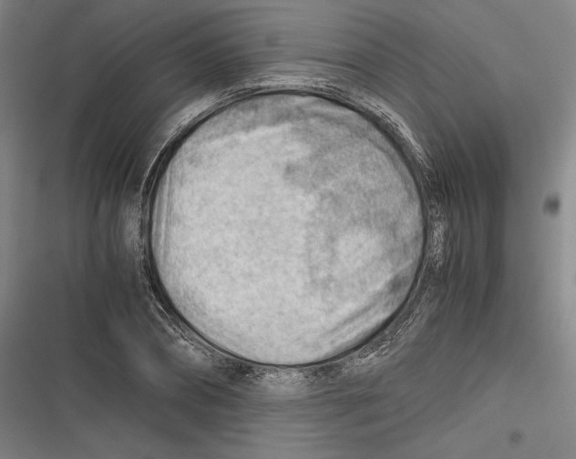 X0000116640882201001111206