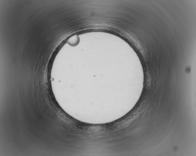 X0000116640883201001111206