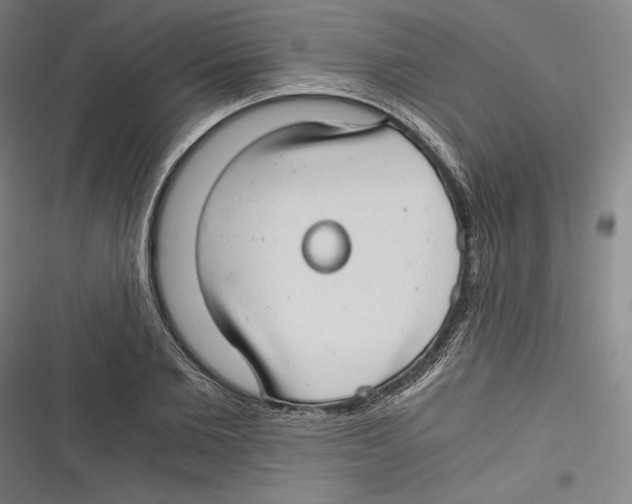 X0000116640885201001111206