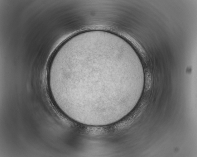 X0000116640886201001111206