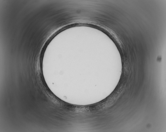 X0000116640887201001111206