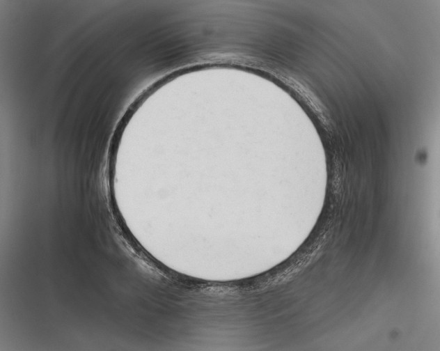 X0000116640888201001111206