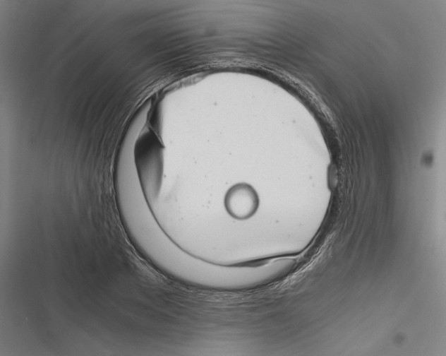 X0000116640889201001111206