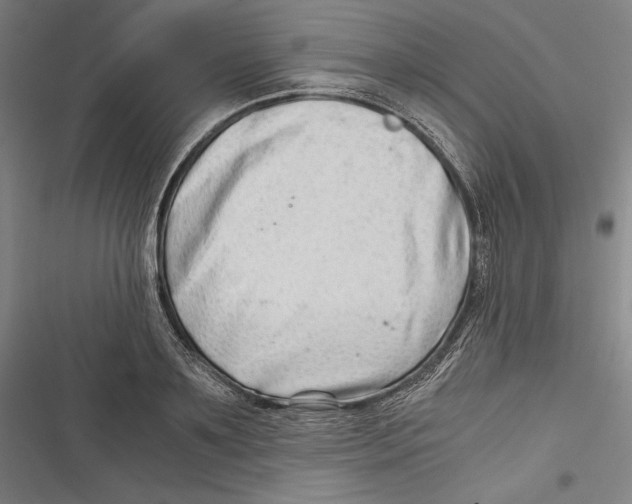 X0000116640891201001111206