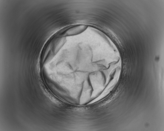 X0000116640892201001111206