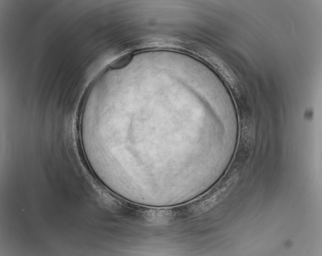 X0000116640893201001111206