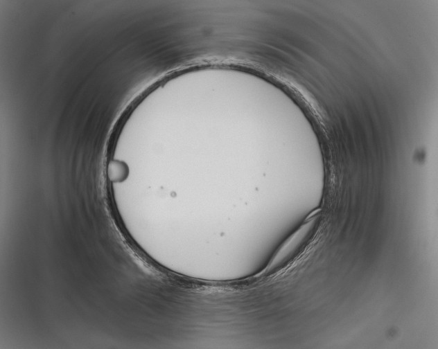 X0000116640894201001111206