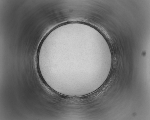 X0000116640895201001111206