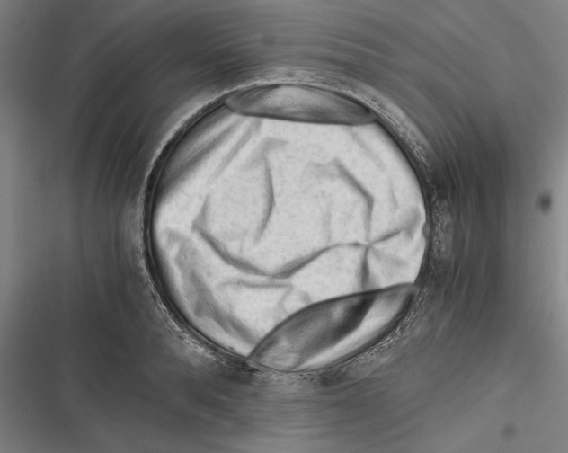 X0000116640896201001111206