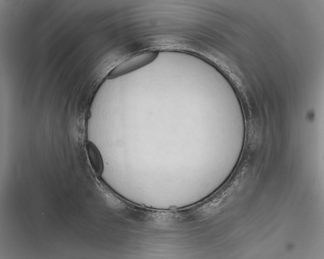 X0000116640897201001111205