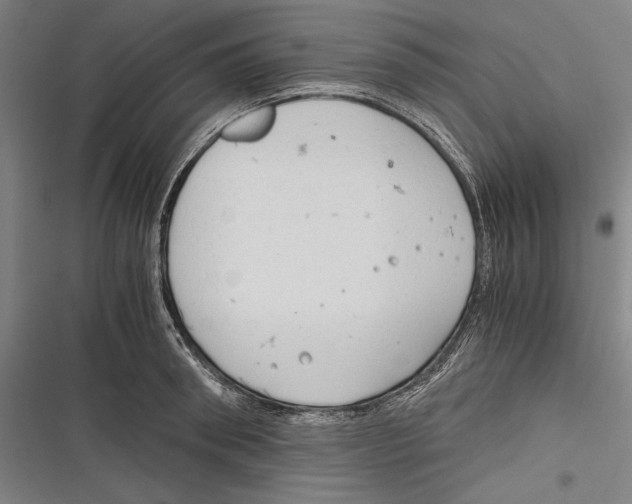 X0000116640898201001111205