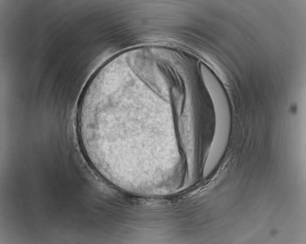 X0000116640899201001111205