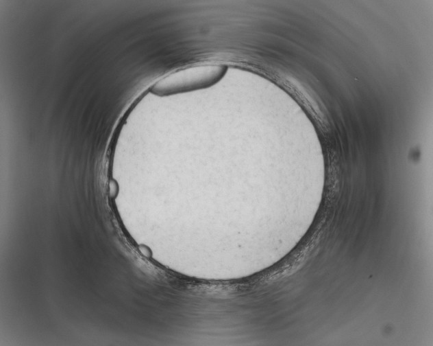 X0000116640900201001111205