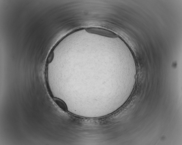 X0000116640901201001111205