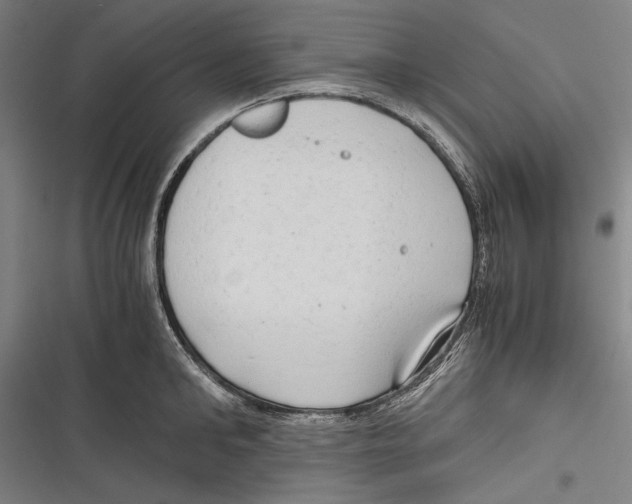 X0000116640902201001111205