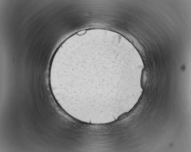 X0000116640904201001111205