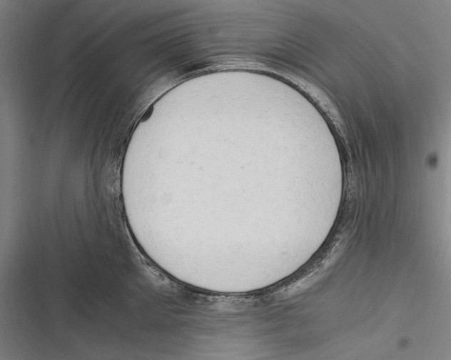 X0000116640905201001111205