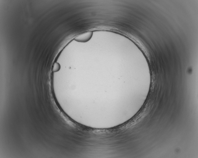 X0000116640906201001111205