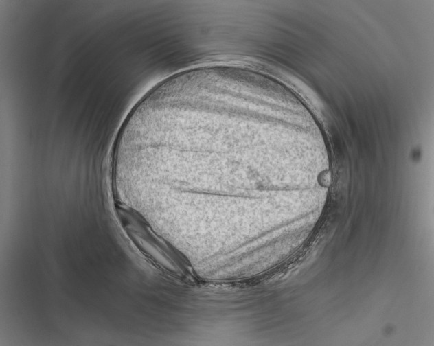 X0000116640907201001111205