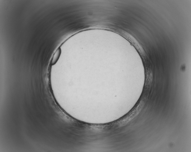 X0000116640908201001111205