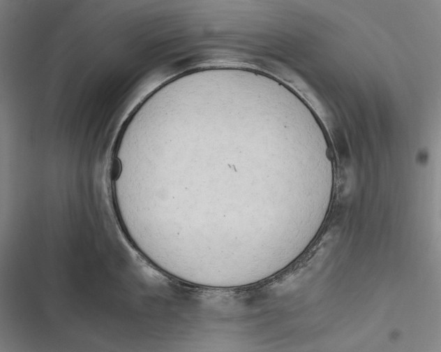 X0000116640909201001111205