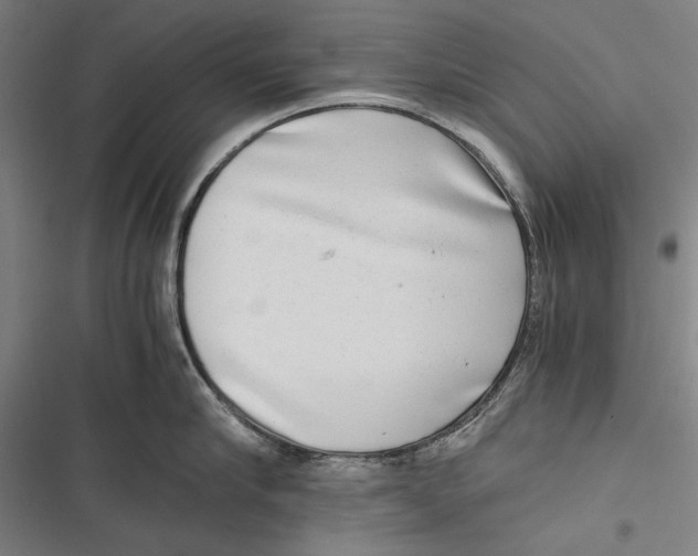 X0000116640910201001111205