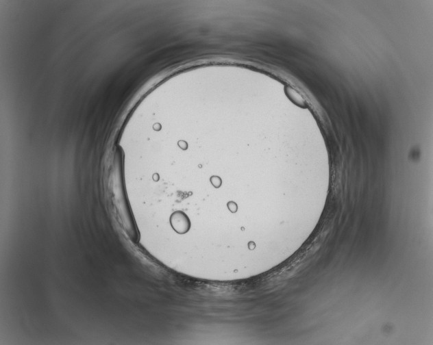 X0000116640911201001111205