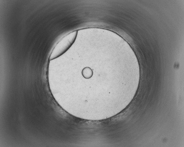 X0000116640912201001111205