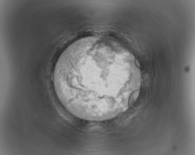 X0000116640913201001111205