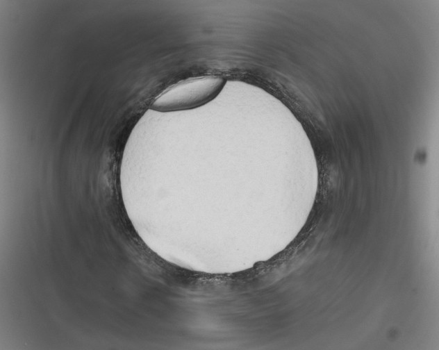 X0000116640914201001111205