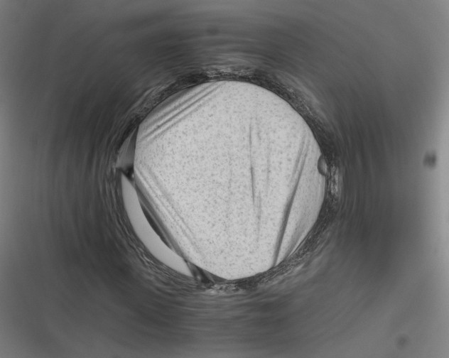 X0000116640915201001111205