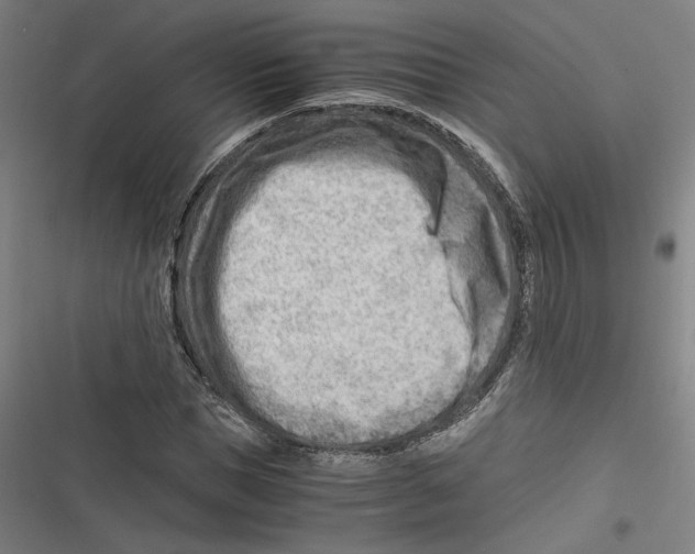 X0000116640921201001111205